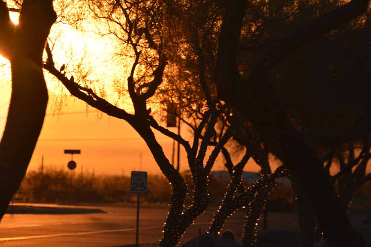 sunrise